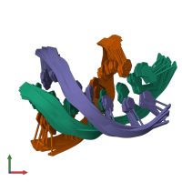 PDB entry 1d3x coloured by chain, ensemble of 10 models, front view.
