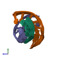 PDB entry 1d3x coloured by chain, ensemble of 10 models, side view.