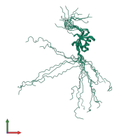 PDB entry 1d4b coloured by chain, ensemble of 15 models, front view.