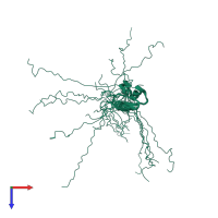 PDB entry 1d4b coloured by chain, ensemble of 15 models, top view.