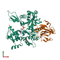 PDB entry 1d4x coloured by chain, front view.