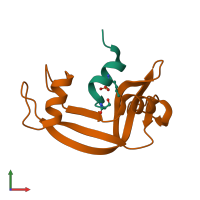 PDB entry 1d5e coloured by chain, front view.