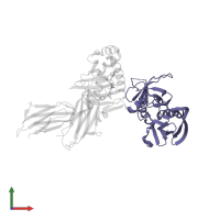 Enterotoxin type B in PDB entry 1d5x, assembly 1, front view.