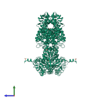 Homo tetrameric assembly 1 of PDB entry 1d6i coloured by chemically distinct molecules, side view.