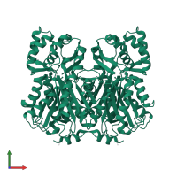 Chalcone synthase 2 in PDB entry 1d6i, assembly 2, front view.
