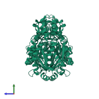 Chalcone synthase 2 in PDB entry 1d6i, assembly 2, side view.