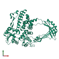 DNA topoisomerase 3 in PDB entry 1d6m, assembly 1, front view.