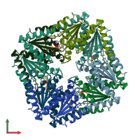 PDB entry 1d7a coloured by chain, front view.