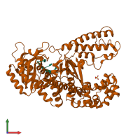 PDB entry 1d8y coloured by chain, front view.