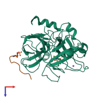 PDB entry 1d9i coloured by chain, top view.