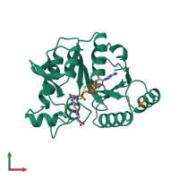 PDB entry 1dak coloured by chain, front view.