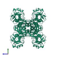 Glyceraldehyde-3-phosphate dehydrogenase in PDB entry 1dbv, assembly 1, side view.