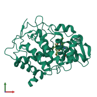 PDB entry 1dcc coloured by chain, front view.