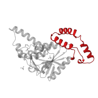 The deposited structure of PDB entry 1dci contains 3 copies of CATH domain 1.10.12.10 (Lyase 2-enoyl-coa Hydratase; Chain  A, domain 2) in Delta(3,5)-Delta(2,4)-dienoyl-CoA isomerase, mitochondrial. Showing 1 copy in chain A.