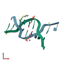 PDB entry 1dcr coloured by chain, front view.