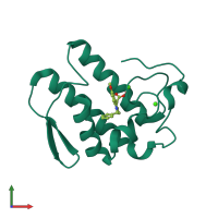 PDB entry 1dcy coloured by chain, front view.