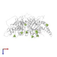 SULFATE ION in PDB entry 1dd1, assembly 1, top view.