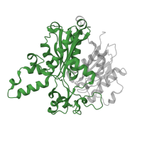 The deposited structure of PDB entry 1dd8 contains 4 copies of Pfam domain PF00109 (Beta-ketoacyl synthase, N-terminal domain) in 3-oxoacyl-[acyl-carrier-protein] synthase 1. Showing 1 copy in chain A.