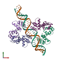 PDB entry 1ddn coloured by chain, front view.