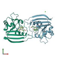 PDB entry 1dds coloured by chain, front view.