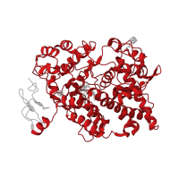 The deposited structure of PDB entry 1ddx contains 4 copies of CATH domain 1.10.640.10 (Myeloperoxidase, subunit C) in Prostaglandin G/H synthase 2. Showing 1 copy in chain A.