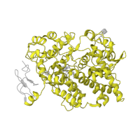 The deposited structure of PDB entry 1ddx contains 4 copies of SCOP domain 48132 (Myeloperoxidase-like) in Prostaglandin G/H synthase 2. Showing 1 copy in chain A.