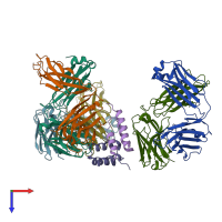 PDB entry 1dee coloured by chain, top view.