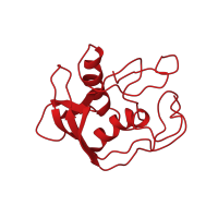 The deposited structure of PDB entry 1def contains 1 copy of CATH domain 3.90.45.10 (Peptide Deformylase) in Peptide deformylase. Showing 1 copy in chain A.