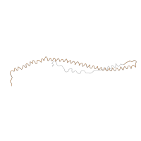 The deposited structure of PDB entry 1deq contains 4 copies of Pfam domain PF08702 (Fibrinogen alpha/beta chain family) in Fibrinogen alpha chain. Showing 1 copy in chain A.