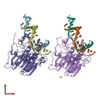 PDB entry 1dew coloured by chain, front view.