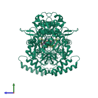 Homo dimeric assembly 2 of PDB entry 1df1 coloured by chemically distinct molecules, side view.