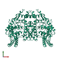 Nitric oxide synthase, inducible in PDB entry 1df1, assembly 1, front view.