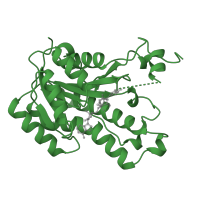 The deposited structure of PDB entry 1dfi contains 4 copies of SCOP domain 51751 (Tyrosine-dependent oxidoreductases) in Enoyl-[acyl-carrier-protein] reductase [NADH] FabI. Showing 1 copy in chain A.