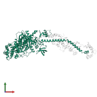 Myosin heavy chain, striated muscle in PDB entry 1dfk, assembly 1, front view.