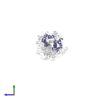 Myosin essential light chain, striated adductor muscle in PDB entry 1dfk, assembly 1, side view.