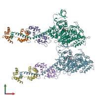 PDB entry 1dfl coloured by chain, front view.