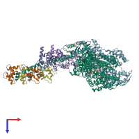 PDB entry 1dfl coloured by chain, top view.