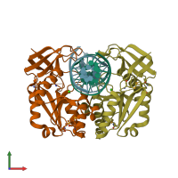 PDB entry 1dfm coloured by chain, front view.