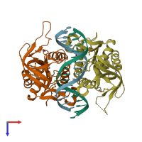 PDB entry 1dfm coloured by chain, top view.
