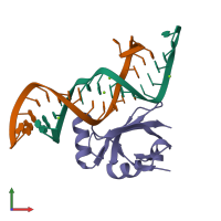 PDB entry 1dfu coloured by chain, front view.