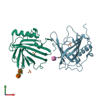 PDB entry 1dfv coloured by chain, front view.