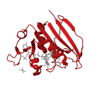 The deposited structure of PDB entry 1dg7 contains 1 copy of CATH domain 3.40.430.10 (Dihydrofolate Reductase, subunit A) in Dihydrofolate reductase. Showing 1 copy in chain A.