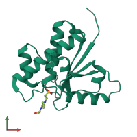 PDB entry 1dg9 coloured by chain, front view.