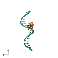 PDB entry 1dgc coloured by chain, side view.