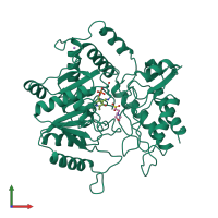 PDB entry 1dgd coloured by chain, front view.