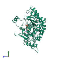 PDB entry 1dgd coloured by chain, side view.