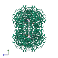 Homo tetrameric assembly 1 of PDB entry 1dgf coloured by chemically distinct molecules, side view.