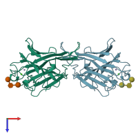 PDB entry 1dgl coloured by chain, top view.