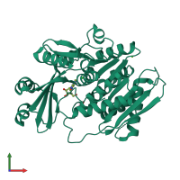 PDB entry 1dgm coloured by chain, front view.