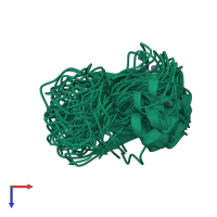 PDB entry 1dgz coloured by chain, ensemble of 38 models, top view.